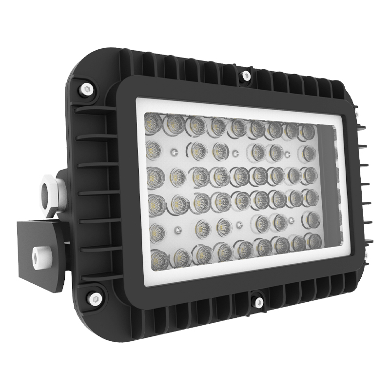 China Fast delivery Pir Outdoor Wall Lights HercuTM General Purpose Bulkhead Light E Lite Manufacture and Factory E Lite